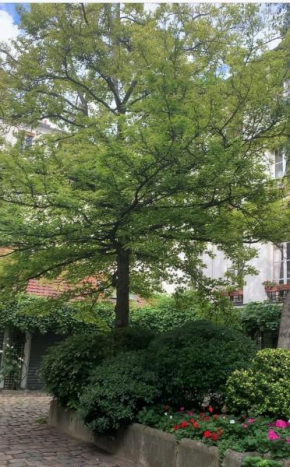 Romantic loft apartment in the center of Le Marais, min 31 nights from March till May